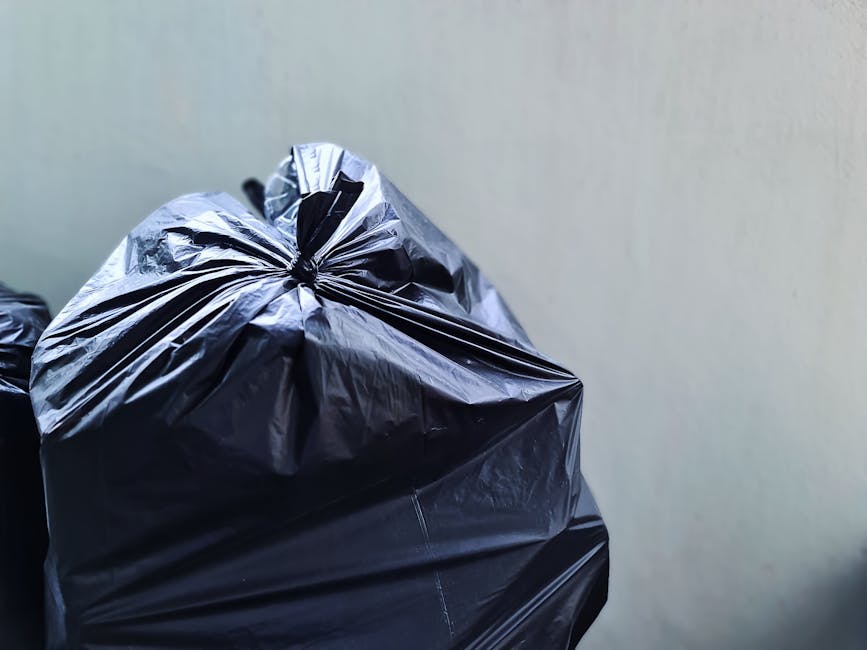 What to know about same day rubbish collection in Shortlands